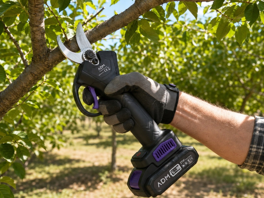 21V Cordless Electric Pruner for Branches 30 mm - 2 Batteries, Wales Packaging status original