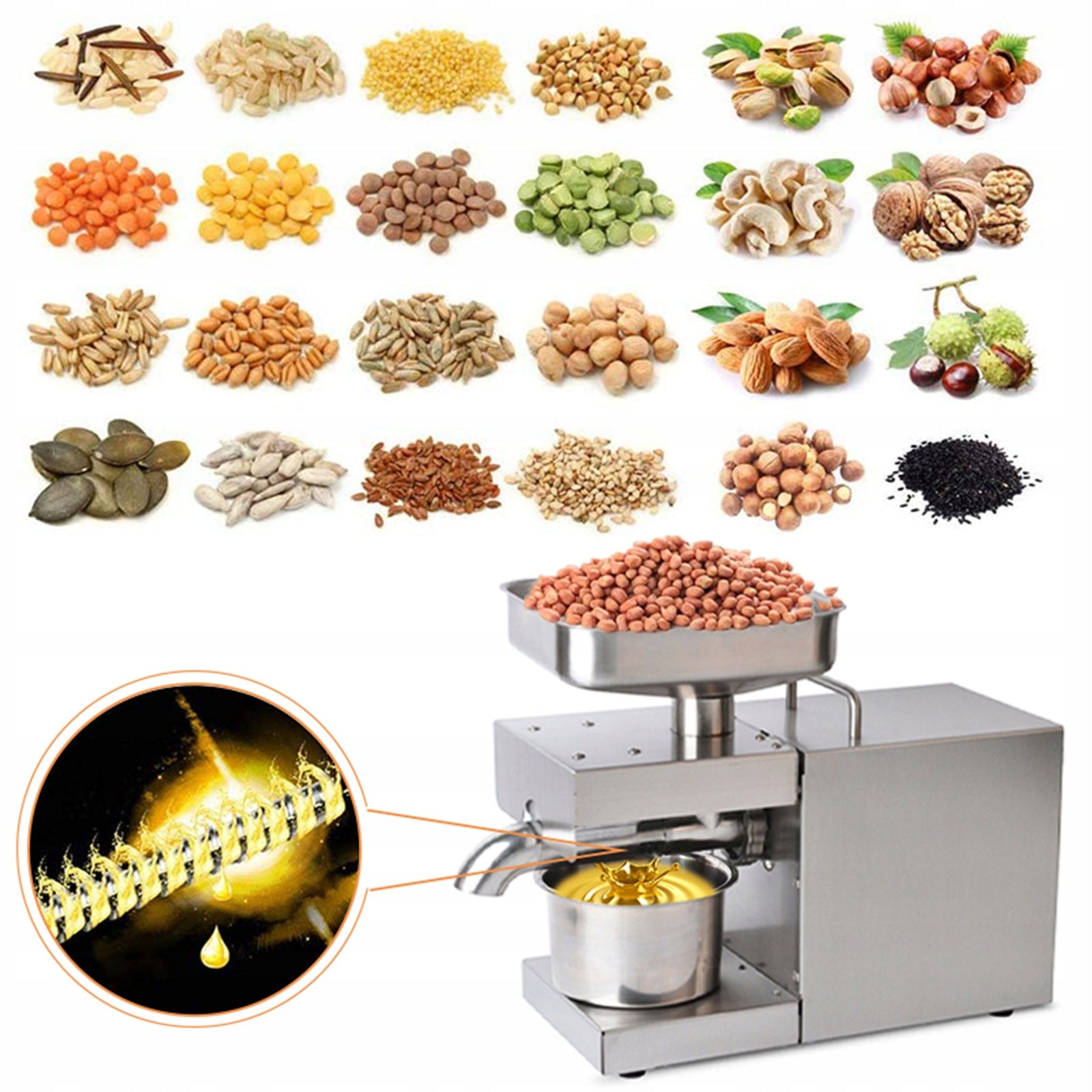 220V 600W 304 Stainless Steel Electric Oil Press