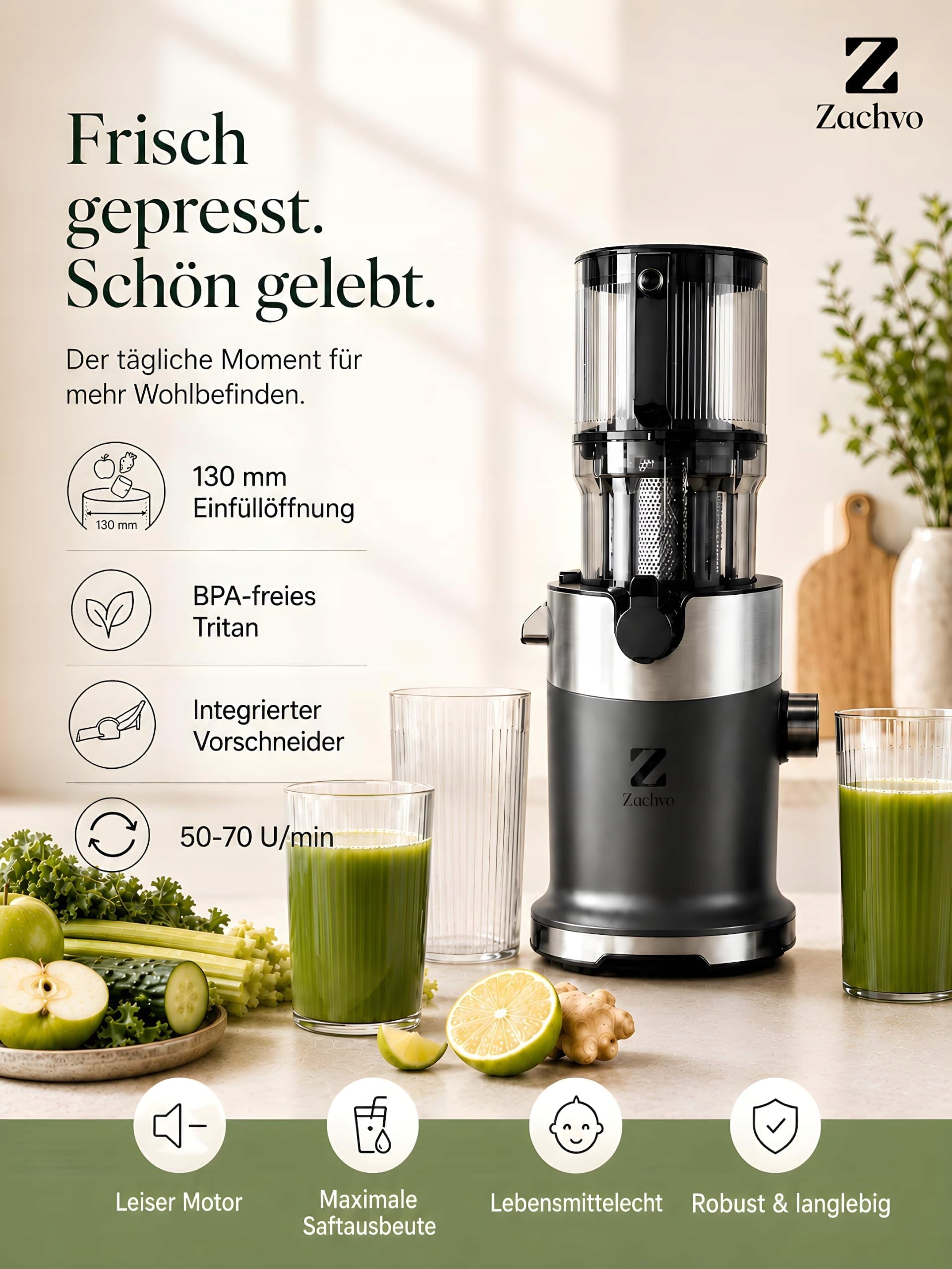 220W SLOW JUICER FOR VEGETABLE FRUIT WHOLE JUICER Brand no brand