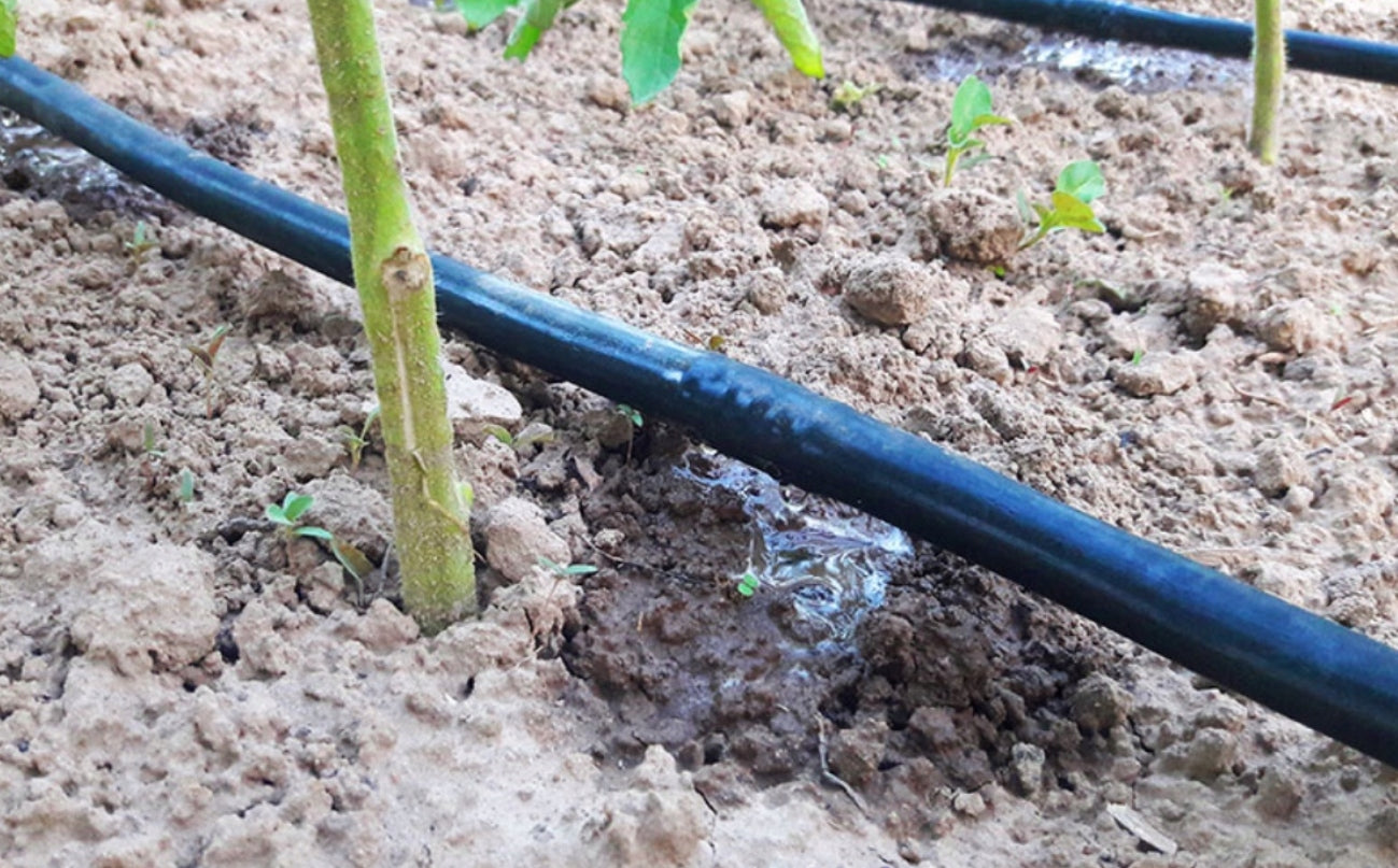 Laistymo žarna 100 m, 16 mm, 33 cm, su 80 lašintuvų