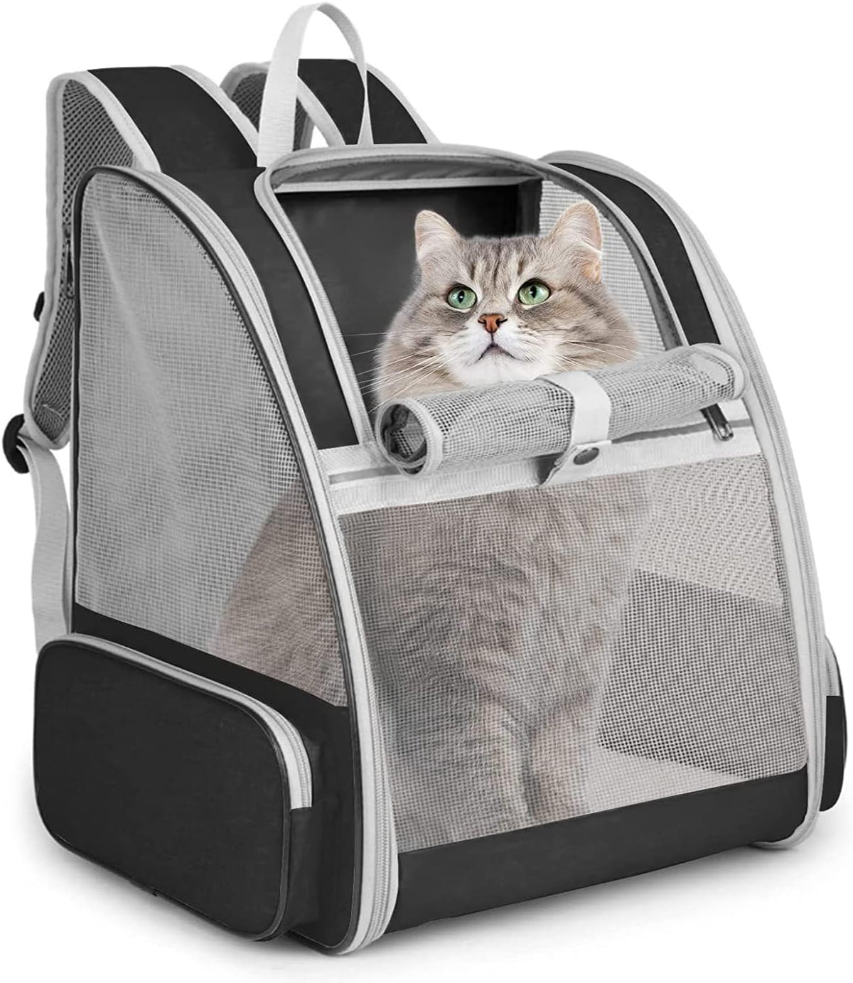 2X CAT AND DOG BACKPACK TRANSPORT FOLDING TRAVEL UP TO 10 KG