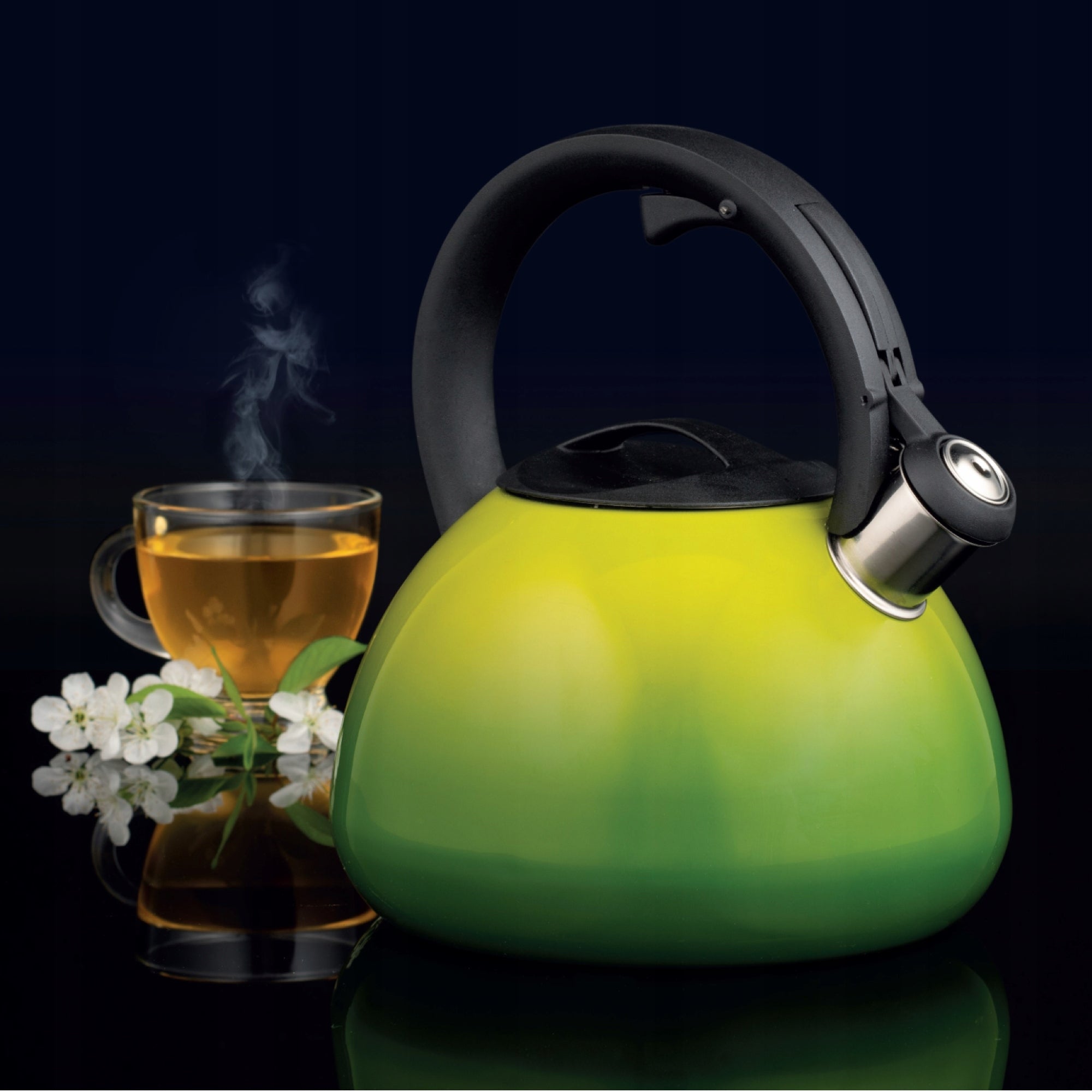 50874 Ombre kettle with whistle 3 l lime AMBITION Manufacturer code 50874
