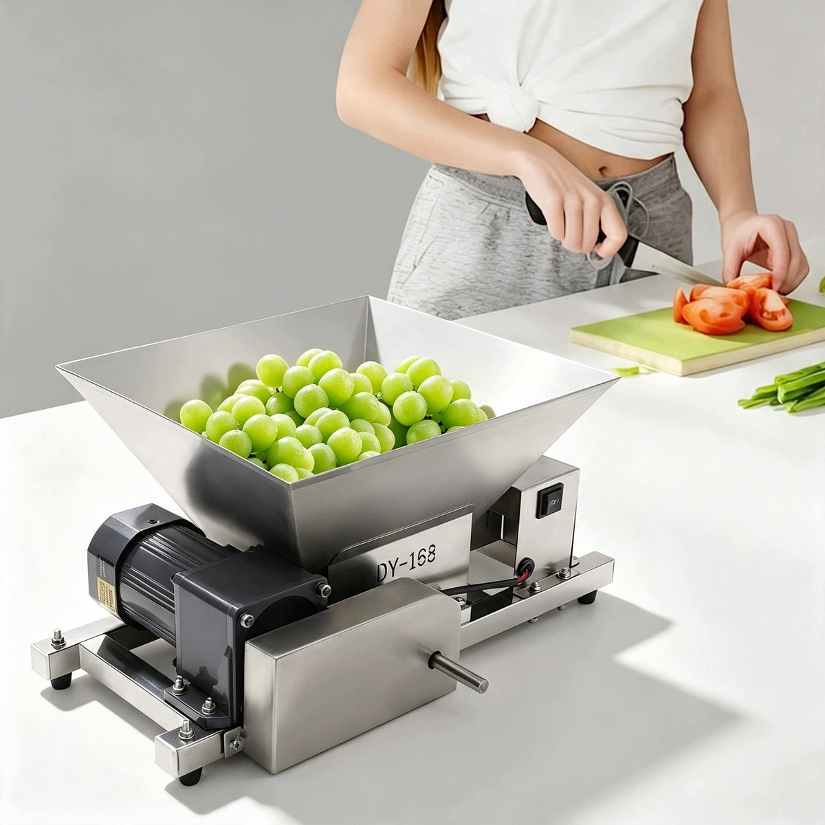 60W 52*30*25CM ELECTRIC FRUIT AND BREAD CRUSHER Packaging status original