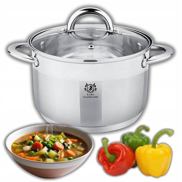 6L STEEL POT FOR INDUCTIONS STAINLESS STEEL GAS GLASS COVER 26cm