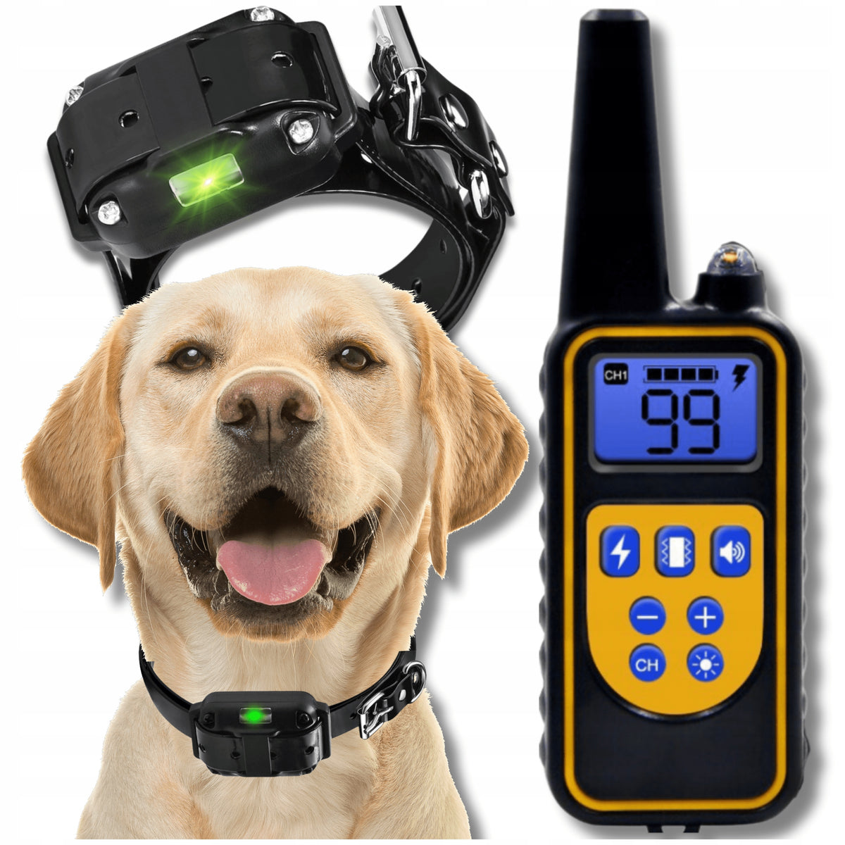 800M Remote Electric Dog Training Collar for Small and Large Dogs