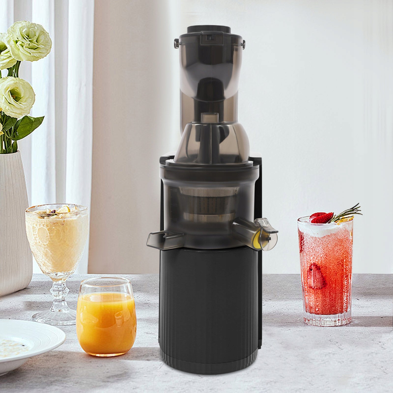 800W 48RPM Black Cold Press Professional Slow Masticating Juicer 500ML Manufacturer code RU091804