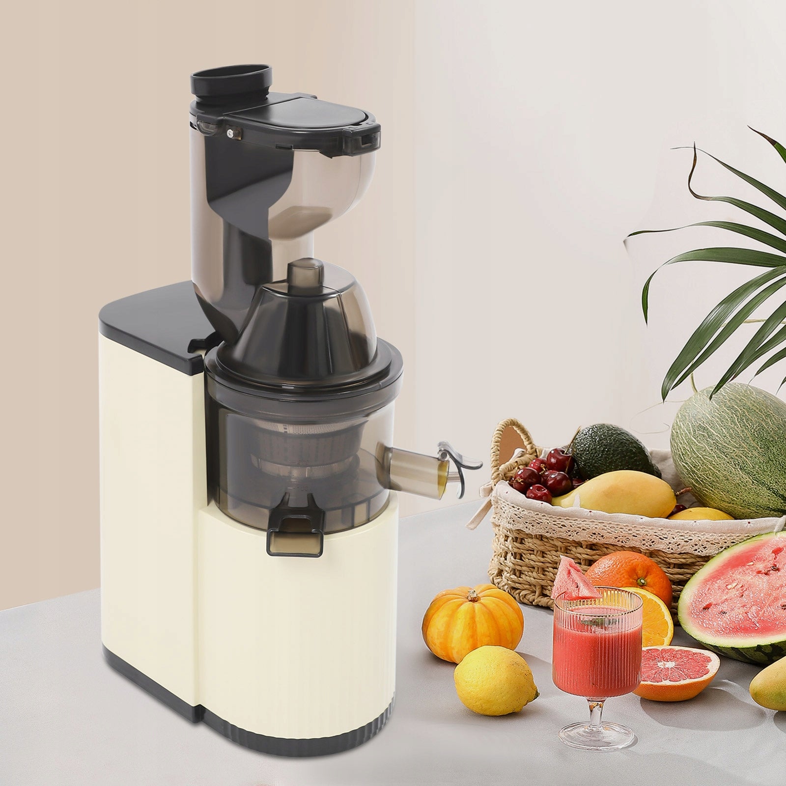 800W 48RPM White Cold Press Professional Slow Masticating Juicer 500ML Manufacturer code RU091806
