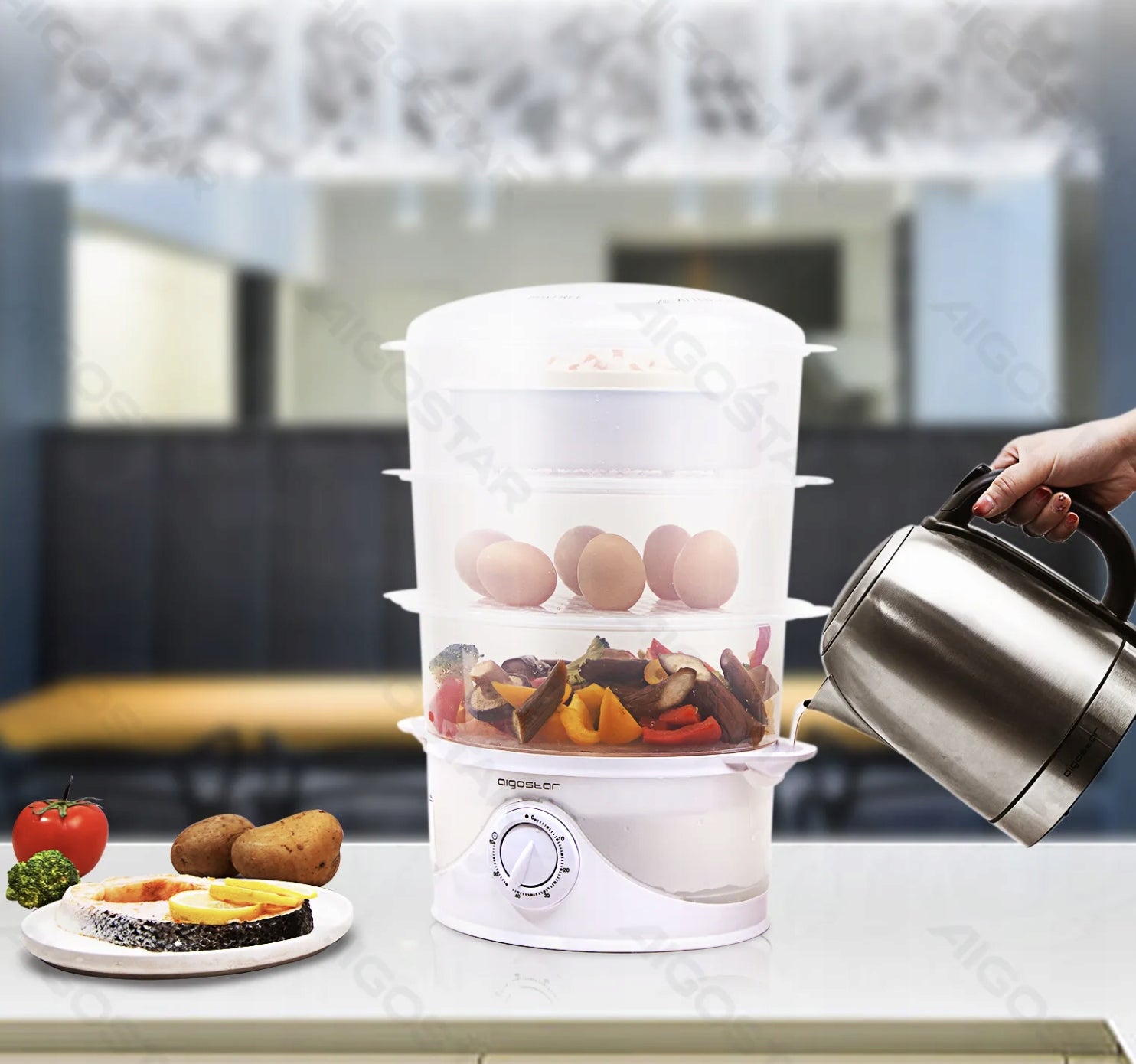 9L 800W Plastic Electric Steamer EAN (GTIN) 8433325500306