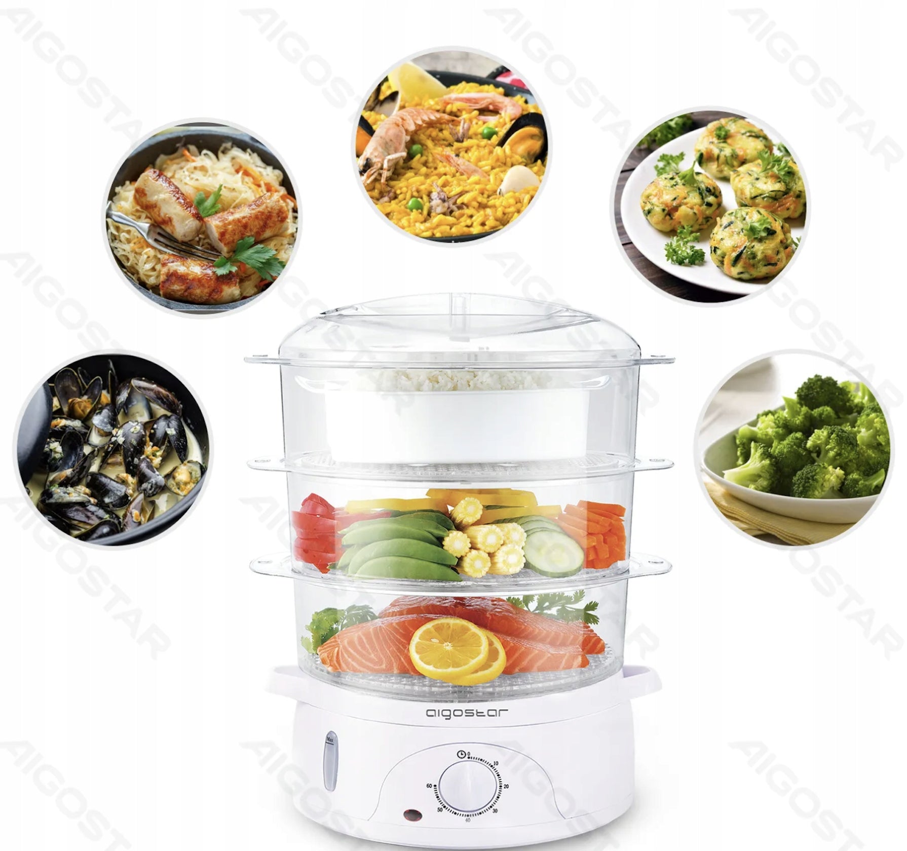 9L 800W Plastic Electric Steamer Manufacturer code 300005CFO