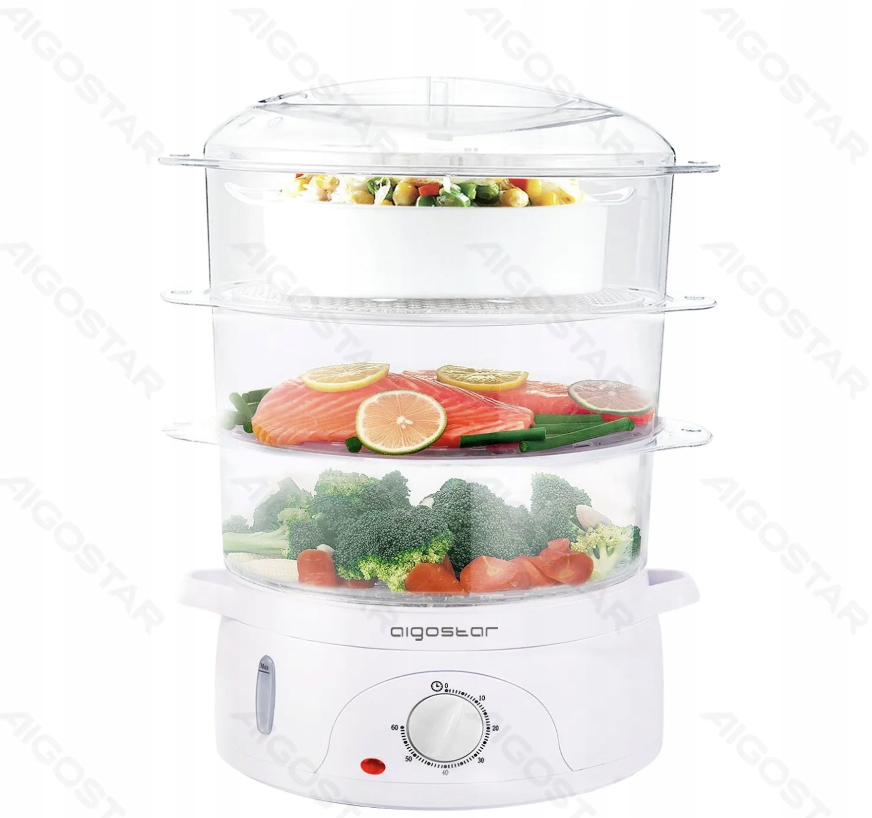 9L 800W Plastic Electric Steamer