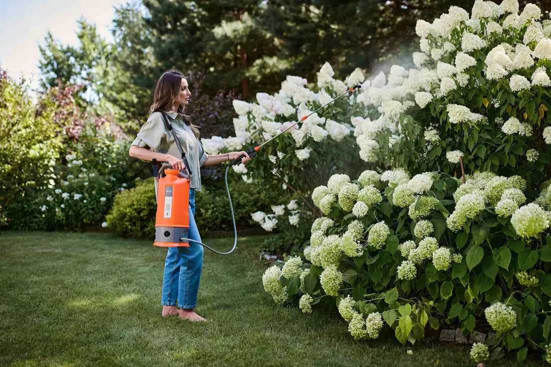 ACCU 8L Electric Sprayer Packaging status original