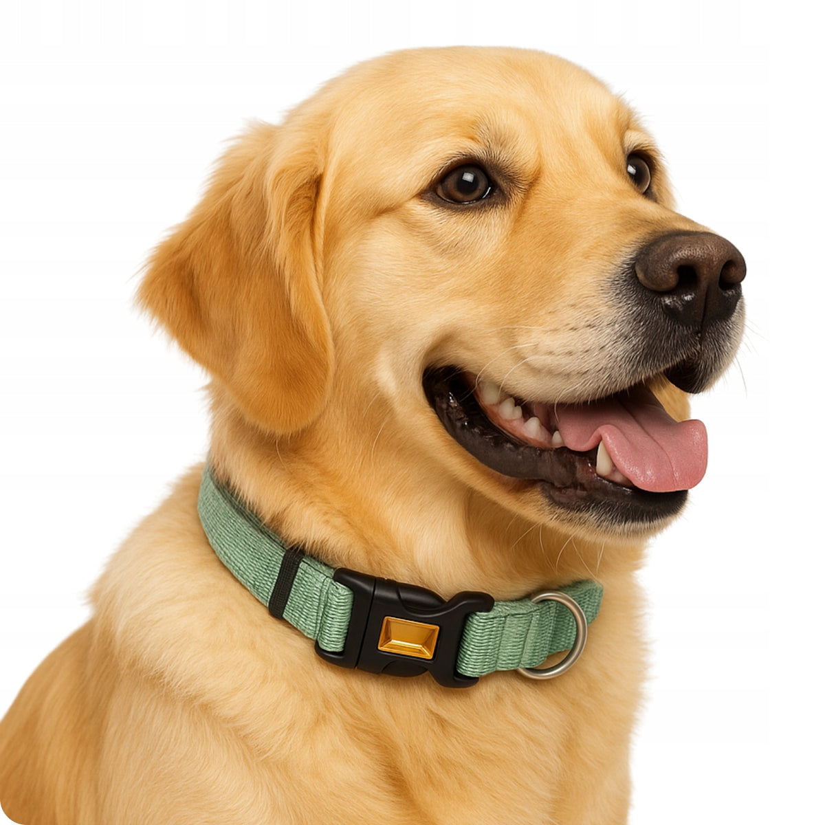 ADJUSTABLE ANIMAL CAT DOG COLLAR FOR KEYCHAINS LOCATORS TAG EAN (GTIN) 5906168045516