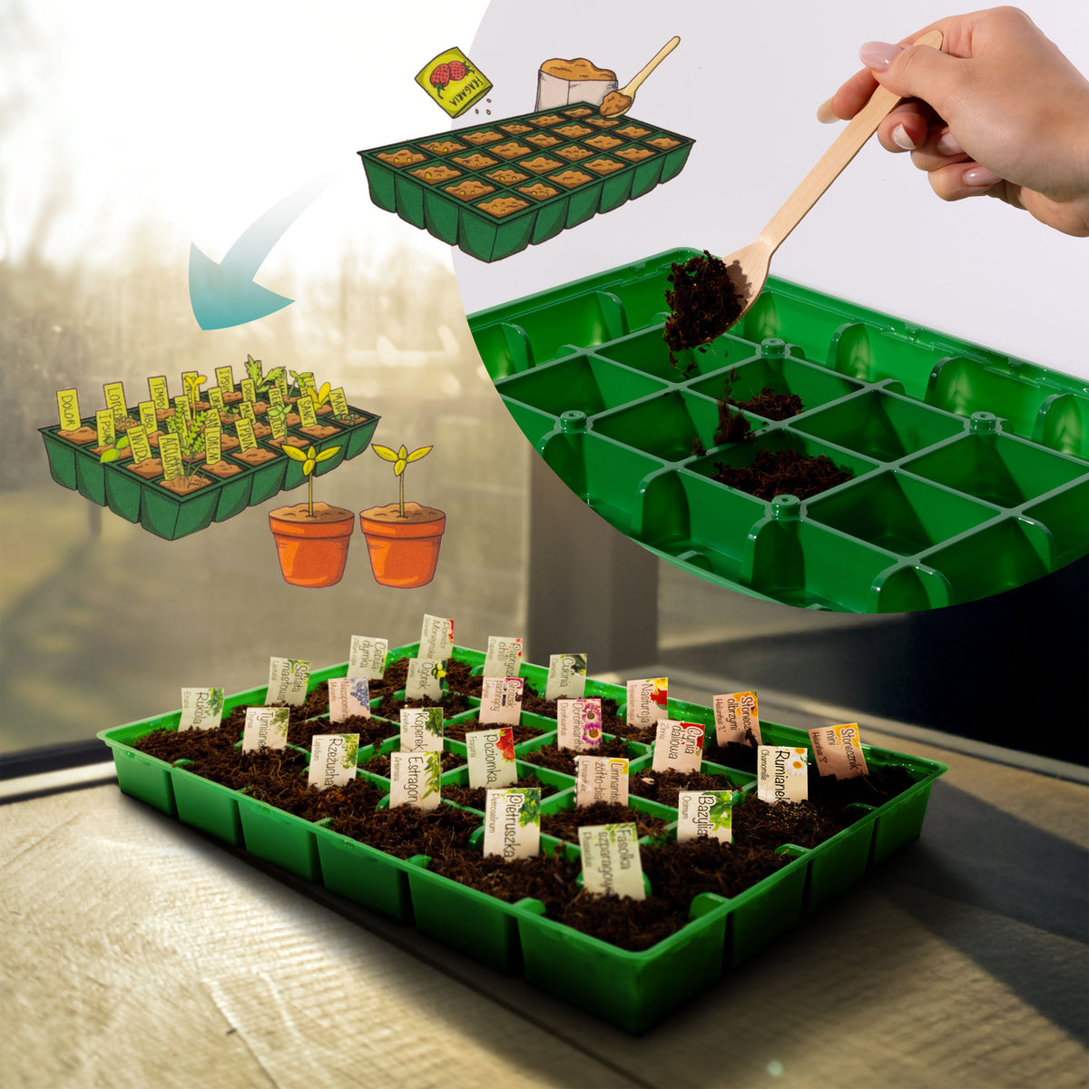 ADVENT CALENDAR SET OF 24 PLANTS FOR GROWING GIFT FOR THE HOLIDAYS HIT 2025 Manufacturer code KALENDARZ ADWENTOWY PREZENT NA ŚWIĘTA