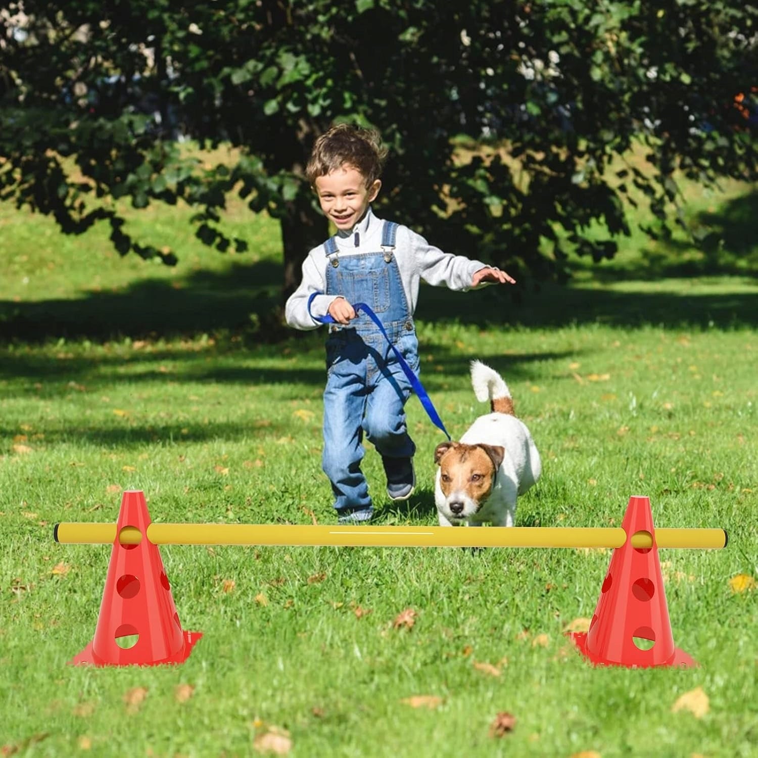 AGILITY SET FOR DOG TRAINING HURDLES ATHLETICS EQUESTRIAN HANDBALL Brand no brand