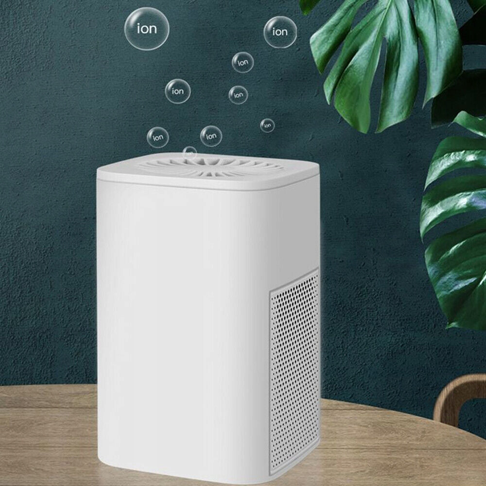 AIR PURIFIER IONIZATION FOR ALLERGY SUFFERERS PURIFIER IONIZER