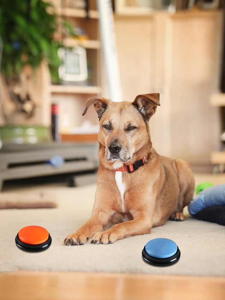 ANIMAL DOG BUTTONS TRAINING SOUND TALKING MAGENTA TRAINING Brand no brand