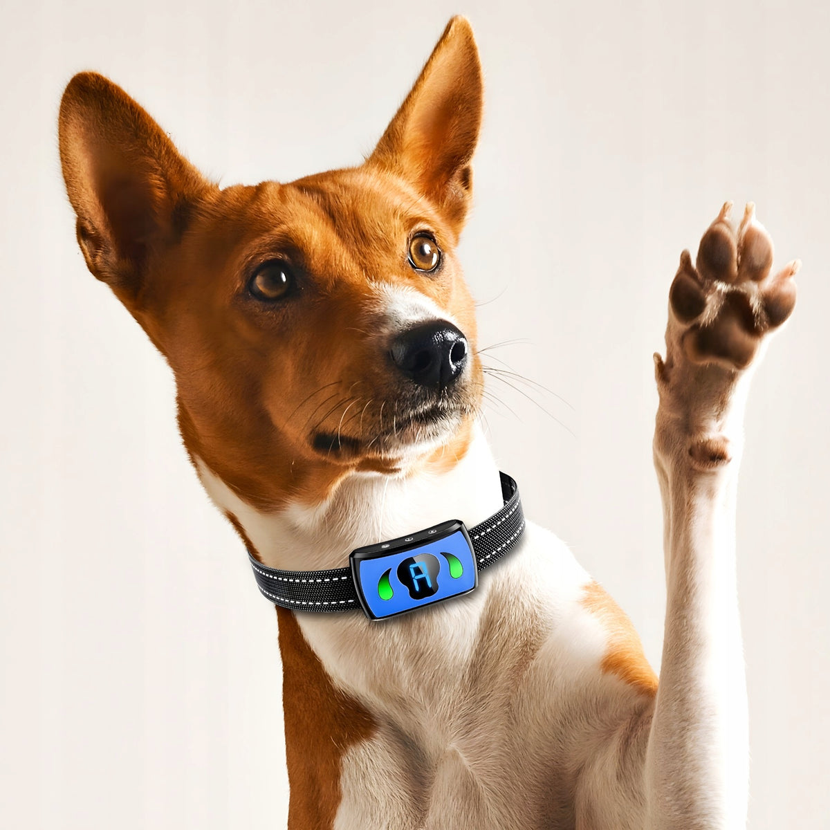 ANTI-BARK ELECTRIC DOG COLLAR 4 LEVELS UNIVERSAL Packaging status original