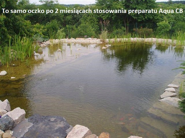 AQUA CB BACTERIA FOR THE POND Brand Subio