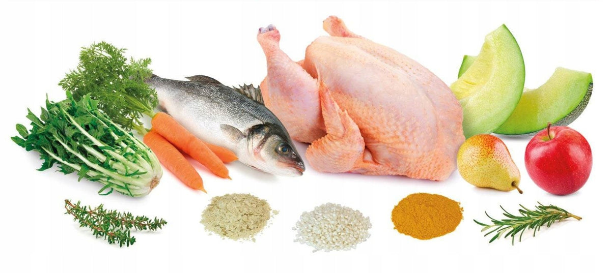 ARQUIVET FRESH Semi-moist dog food MEAT AND OCEAN FISH 10kg EAN (GTIN) 8435117891036