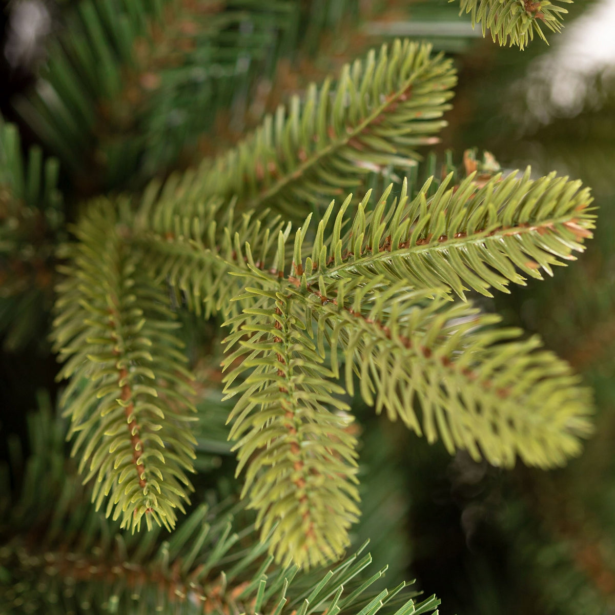 ARTIFICIAL CHRISTMAS TREE PE 220 cm ITALIAN SPRUCE CAUCASIAN LIKE A LIVING PREMIUM DENSE Packaging status original