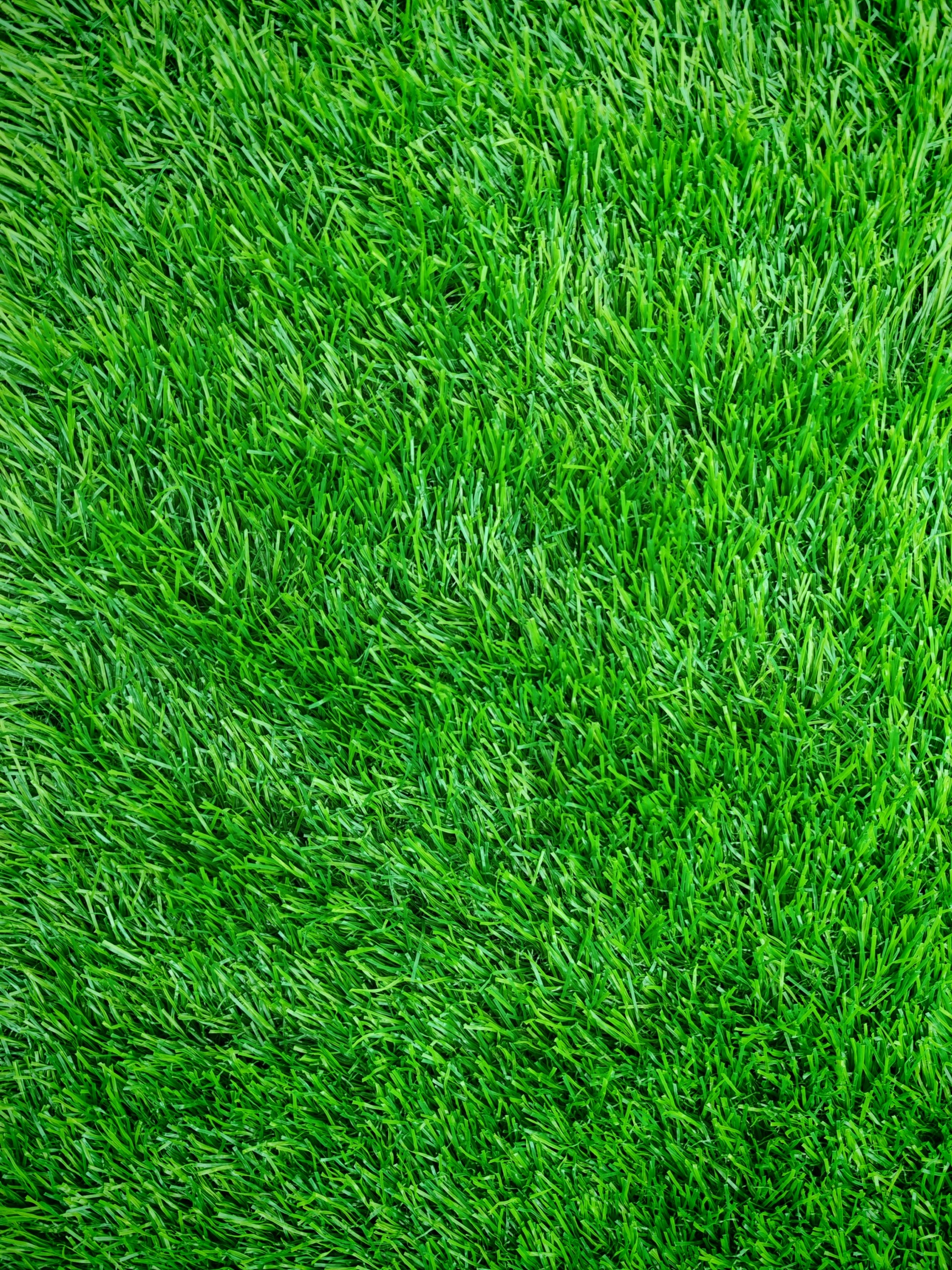 ARTIFICIAL GRASS TF 30mm Terrace Court Balcony Soft Durable Green Width 2,5m Manufacturer code Trawa Sztuczna