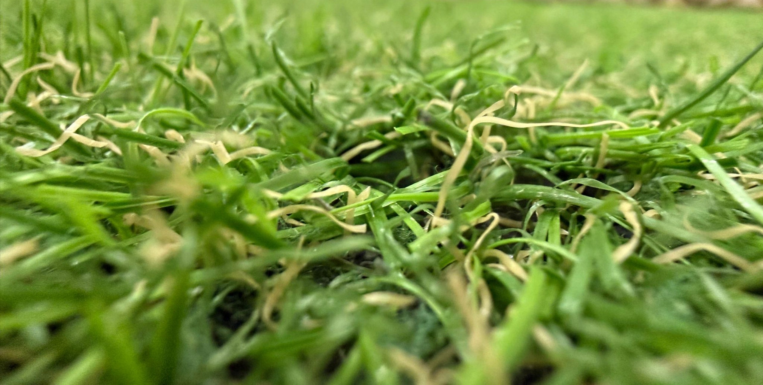 ARTIFICIAL GRASS VERDE FOR BALCONY READY PIECE THICK PREMIUM 100X200CM 20MM Manufacturer code Verde