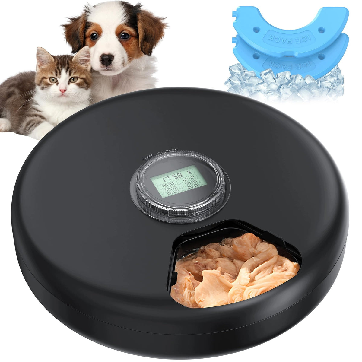 AUTOMATIC CAT AND DOG FOOD FEEDER WITH TIMER 6 MEALS