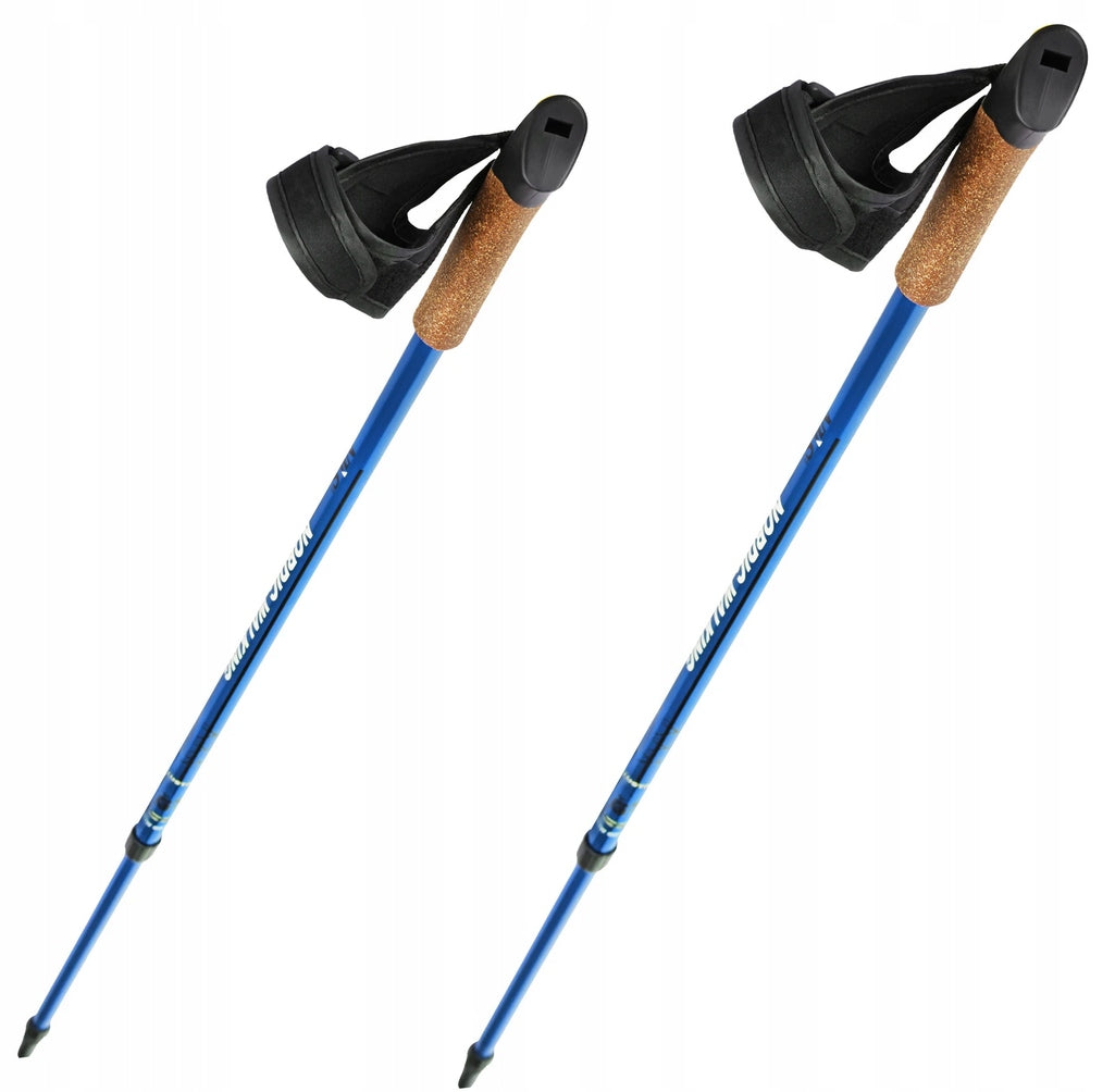 Abisal Nordic walking poles NW607 Blue 87-135 cm 2 pieces Packaging status original