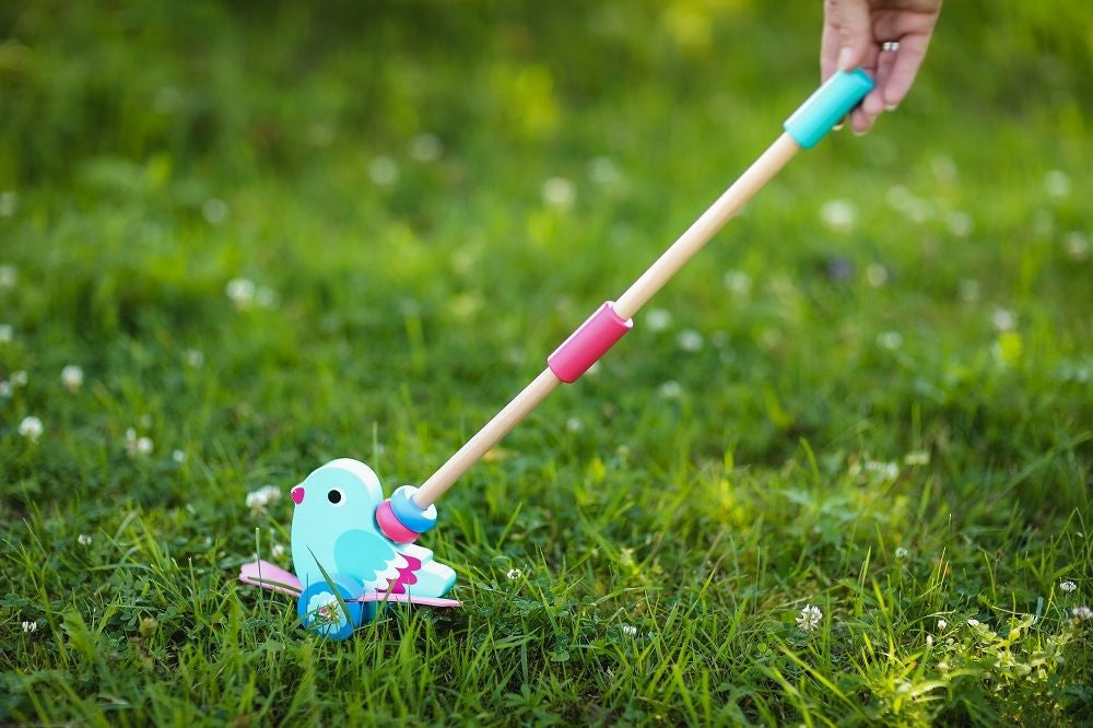 AdamToys Bird Pushing for Walk Twisted Stick Gift for Year Color multicolor
