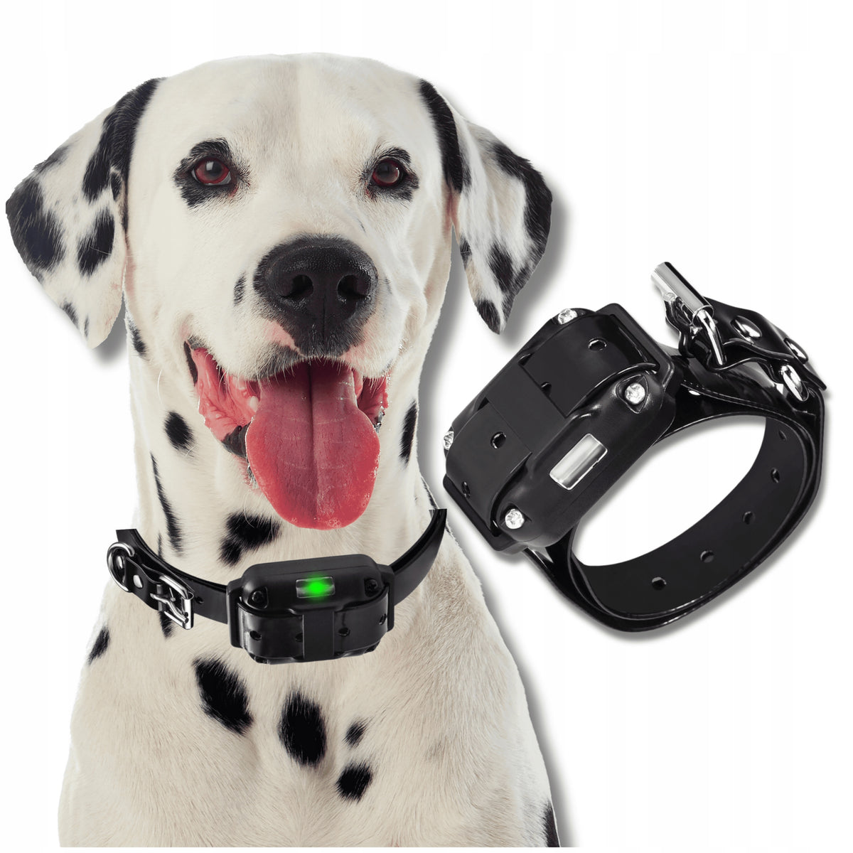 Additional Electric Dog Collar Cat Training 800m For Small Large