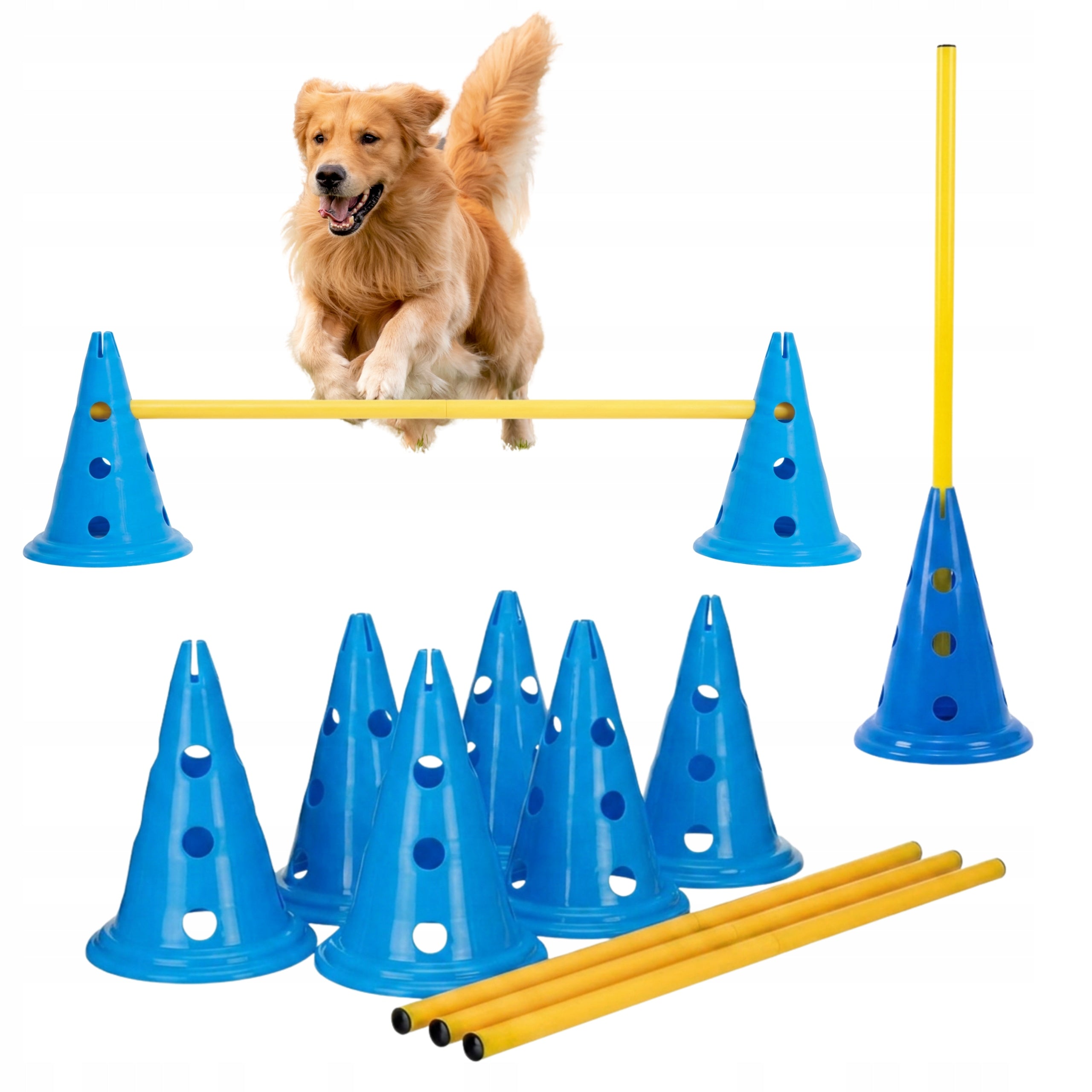 Agility set for dog cones 32 cm + poles slalom dog training Positiv