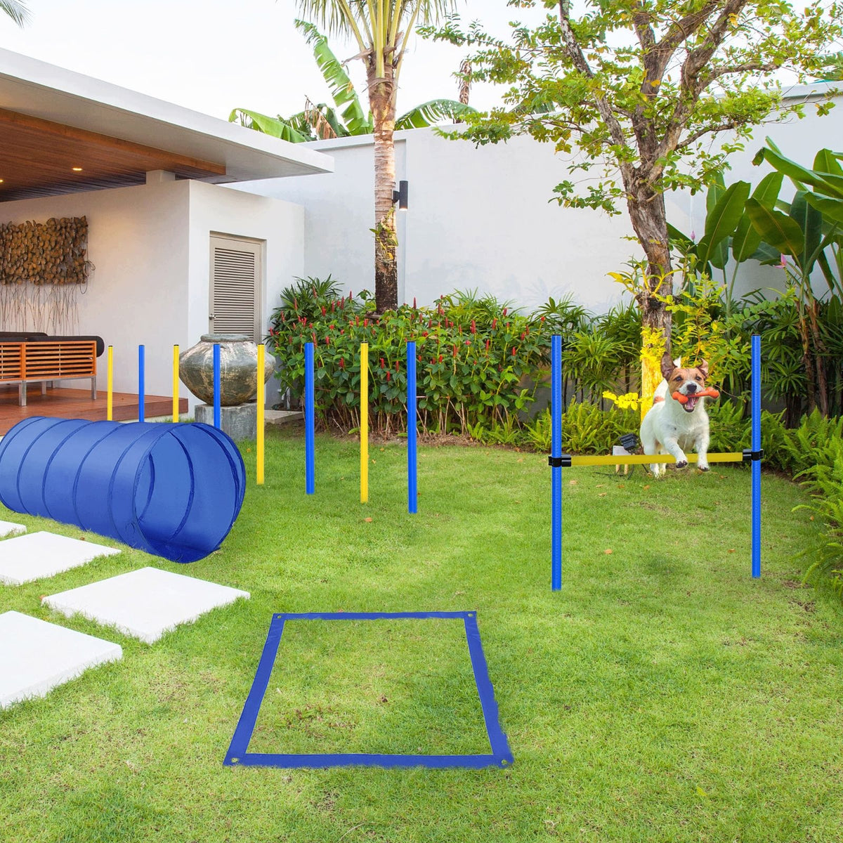 Agility set for dogs, tunnel, slalom, hurdles, PE+Polyester Brand no brand