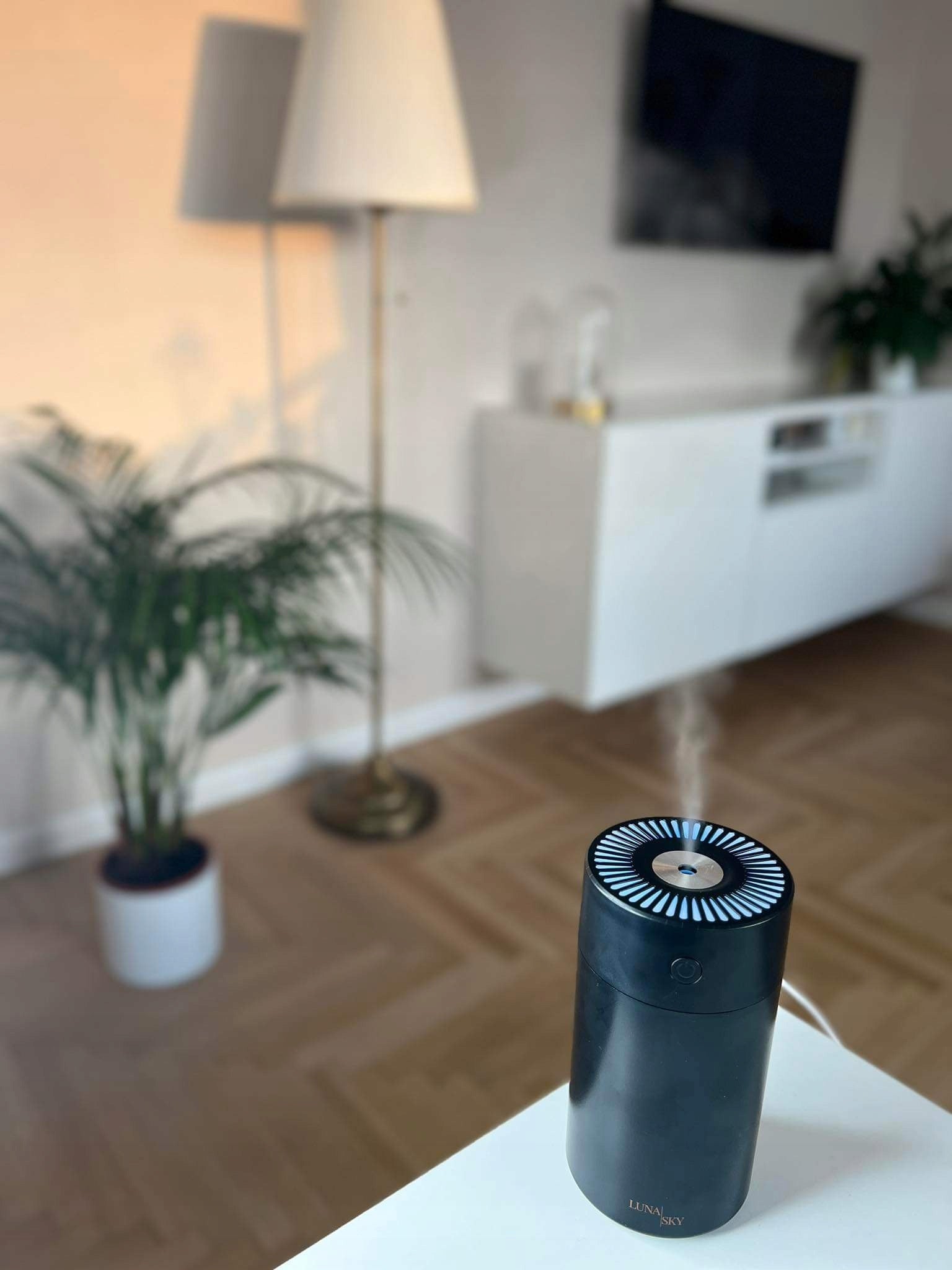 Air Humidifier Ultrasonic Fragrance Diffuser Aromatherapy Luna Sky Medical device no