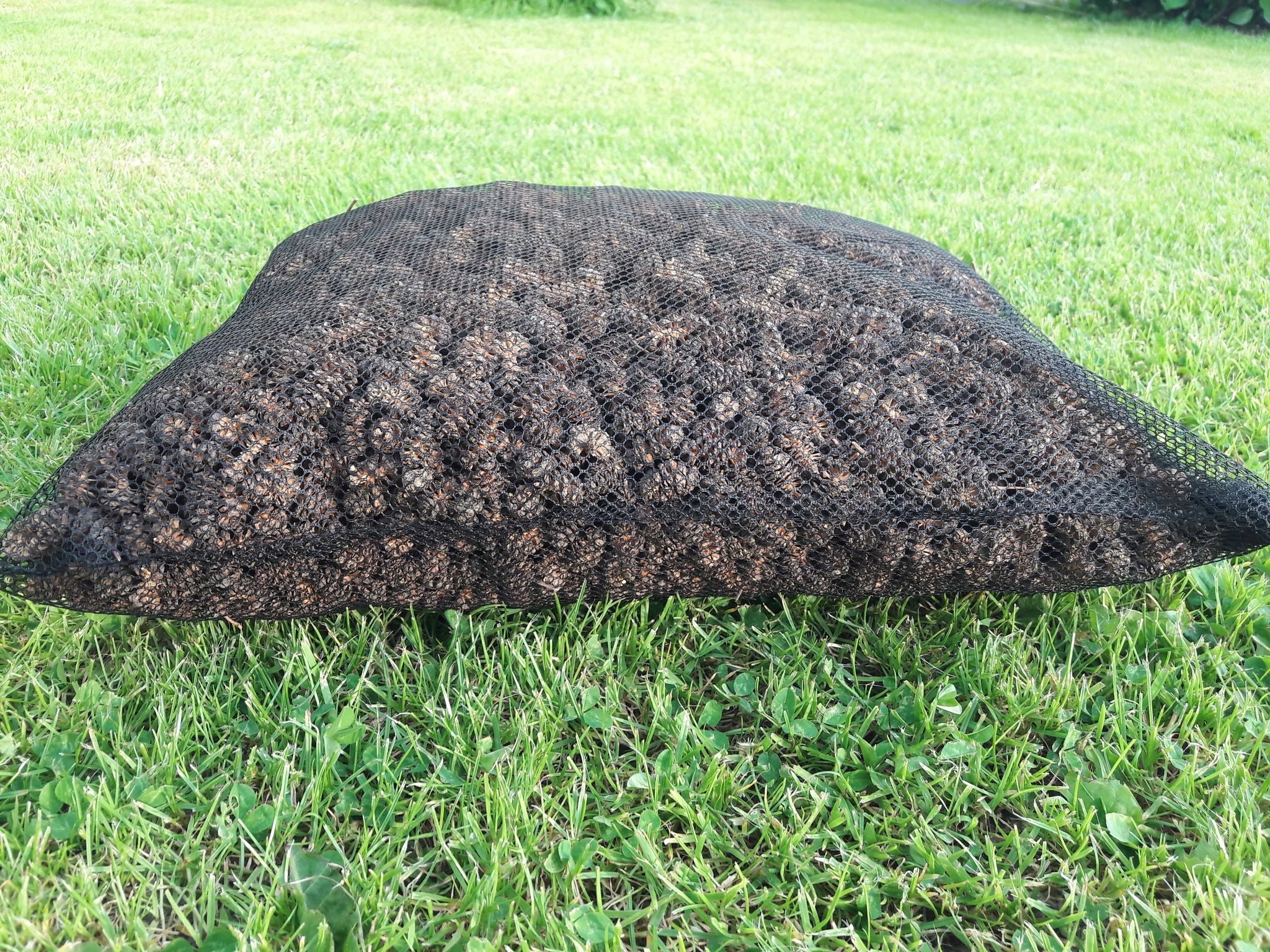 Alder cones anti-algae pond mesh for 20 thousand liters Form granules