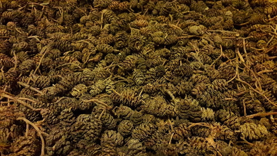 Alder cones anti-algae pond mesh for 20 thousand liters Purpose water clarification against algae