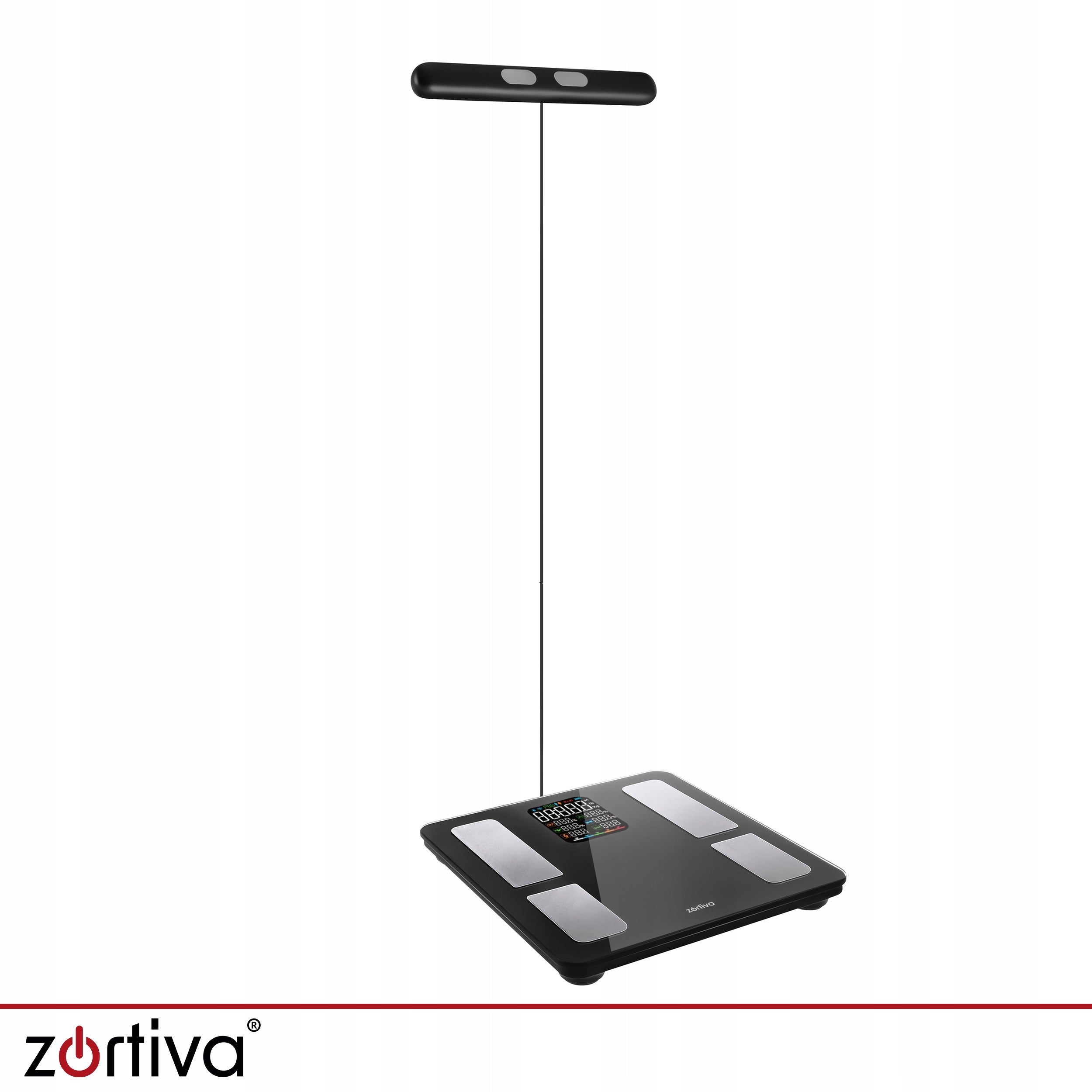 Analytical Bathroom Scale with Precision Handle 180kg Application in Polish Packaging status original