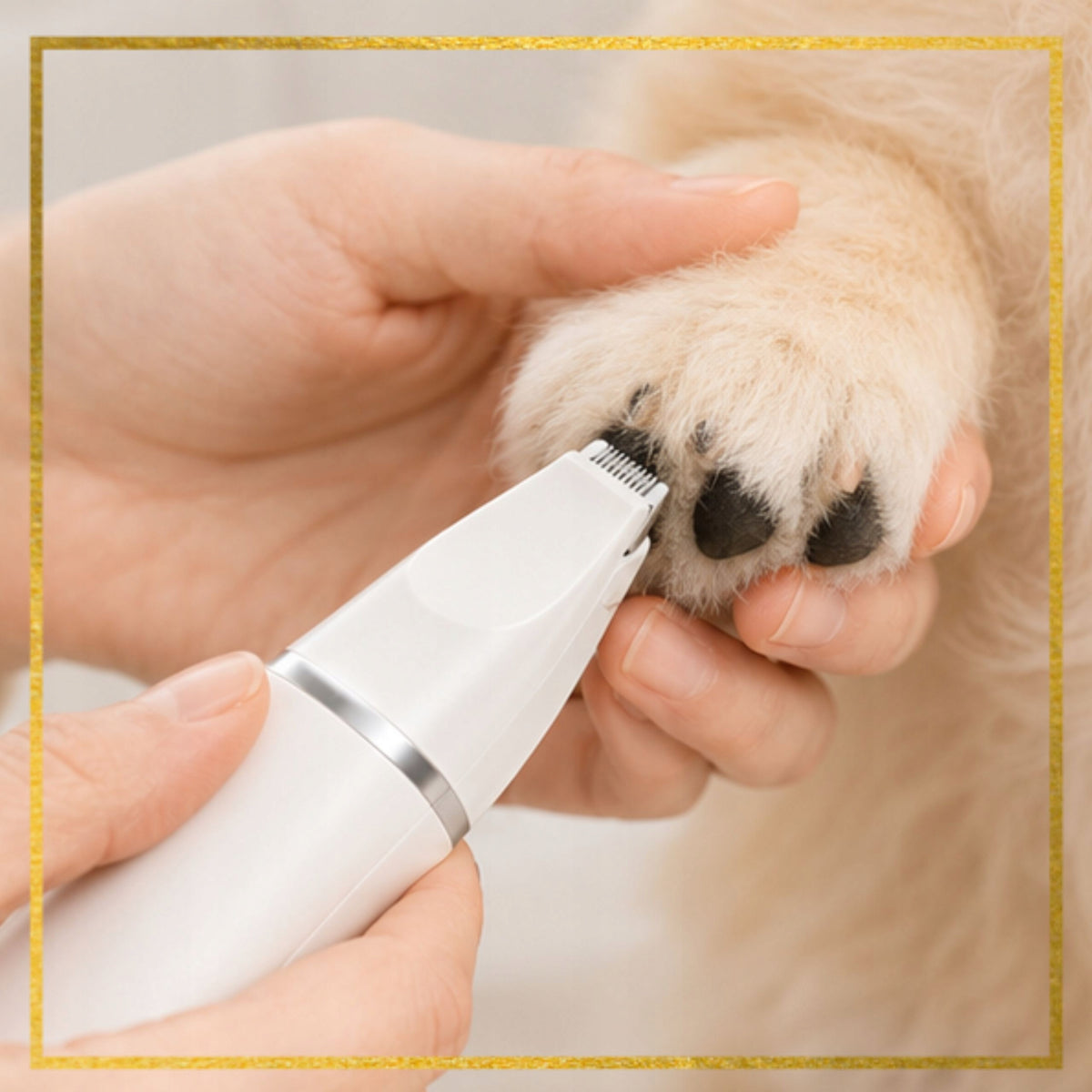 Animal Cat Dog Hair Clipper Trimmer 4in1 LED USB Manufacturer code MASZYNKA TRYMER DO STRZYŻENIA PSA KOTA