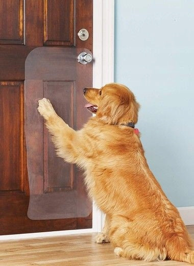 Anti-scratch film 100x100 for doors|cat furniture|dog RAKLA FREEBIE Manufacturer code folia ochronna bezbarwna_100x50cm