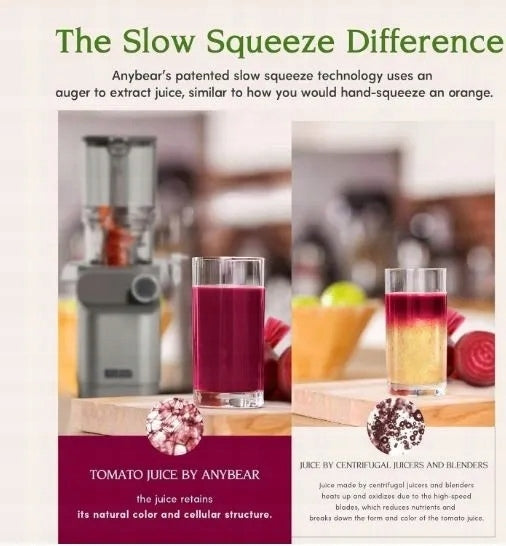 Anybear Slow Juicer Large Hole Silver 200W Packaging status original