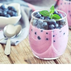 Appliance for ice cream and homemade yoghurt Steba IC 110 EAN (GTIN) 4011833303325