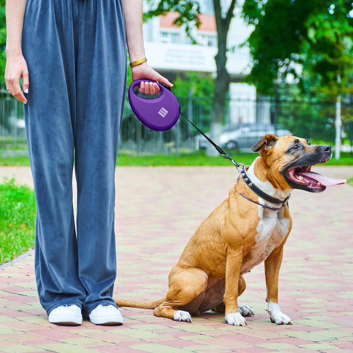 Automatic dog leash with bag container, M, purple, up to 20 kg Brand Waudog