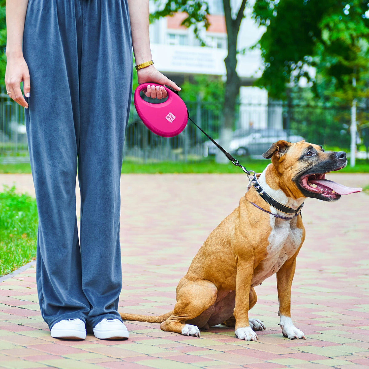 Automatic reflective dog leash with pouch container, M up to 20 kg Packaging status original