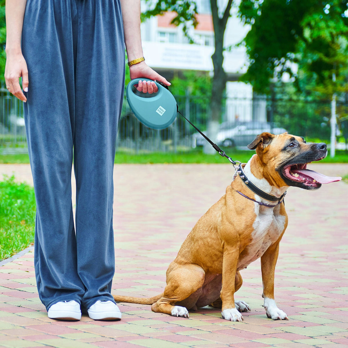 Automatic reflective dog leash with pouch container, S up to 12 kg EAN (GTIN) 4823089360379