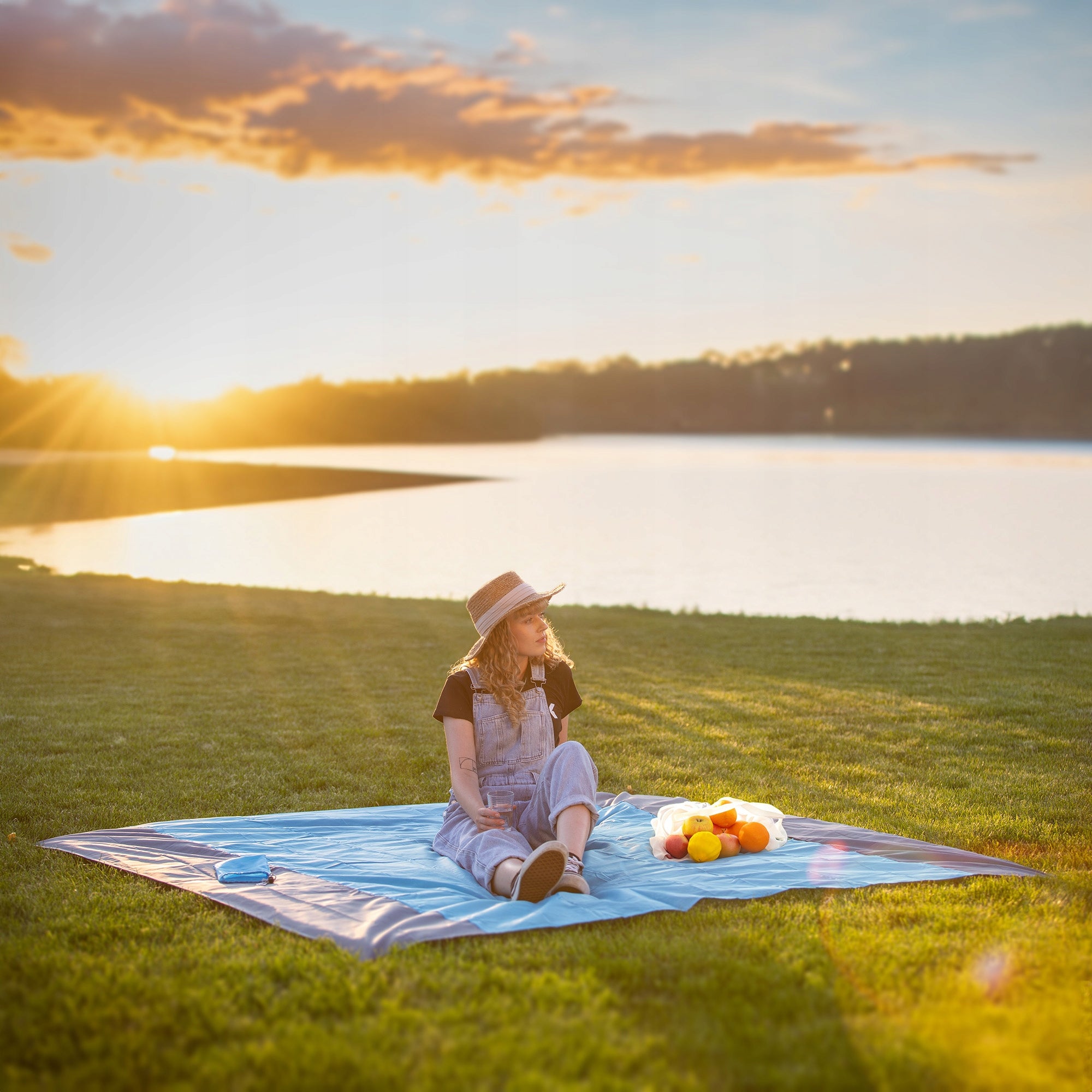 BEACH MAT PICNIC POCKET BEACH BLANKET 200x210 WOODPORN + HERRINGS Color blue