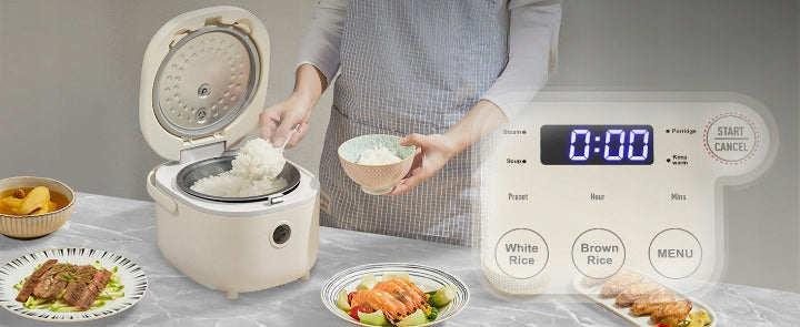 BEAR Rice Pressure Cooker DFB-B20A1 2L 350W Multifunctional Manufacturer code 000