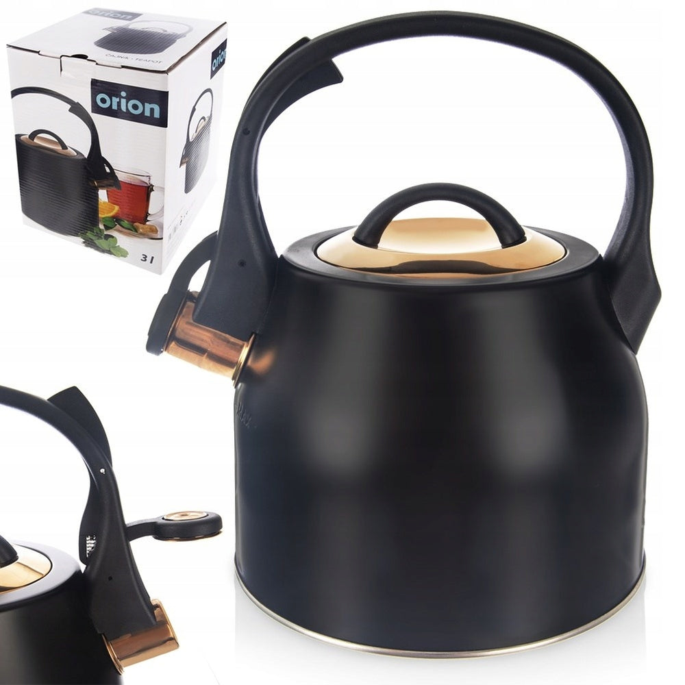 BLACK GOLD steel kettle with a whistle for boiling water on the stove