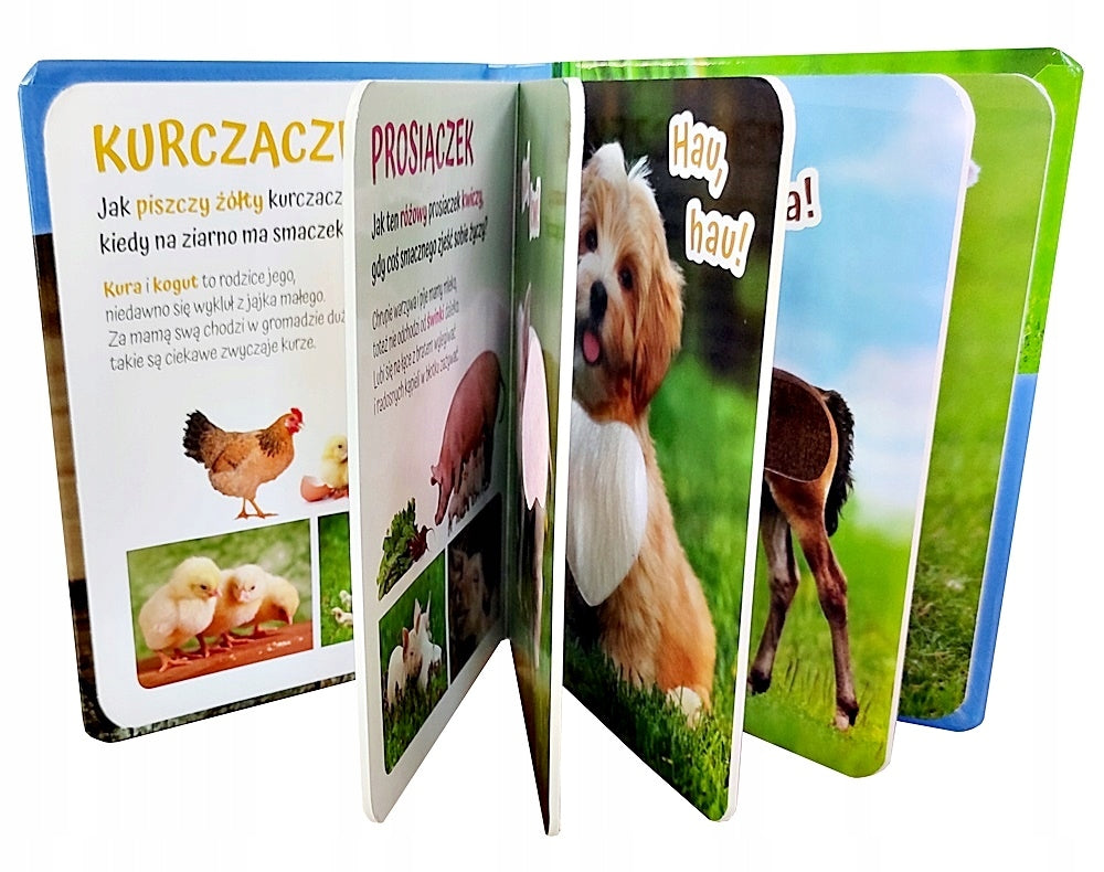 BOOK STROKE RURAL ANIMAL EAN (GTIN) 9788389219114