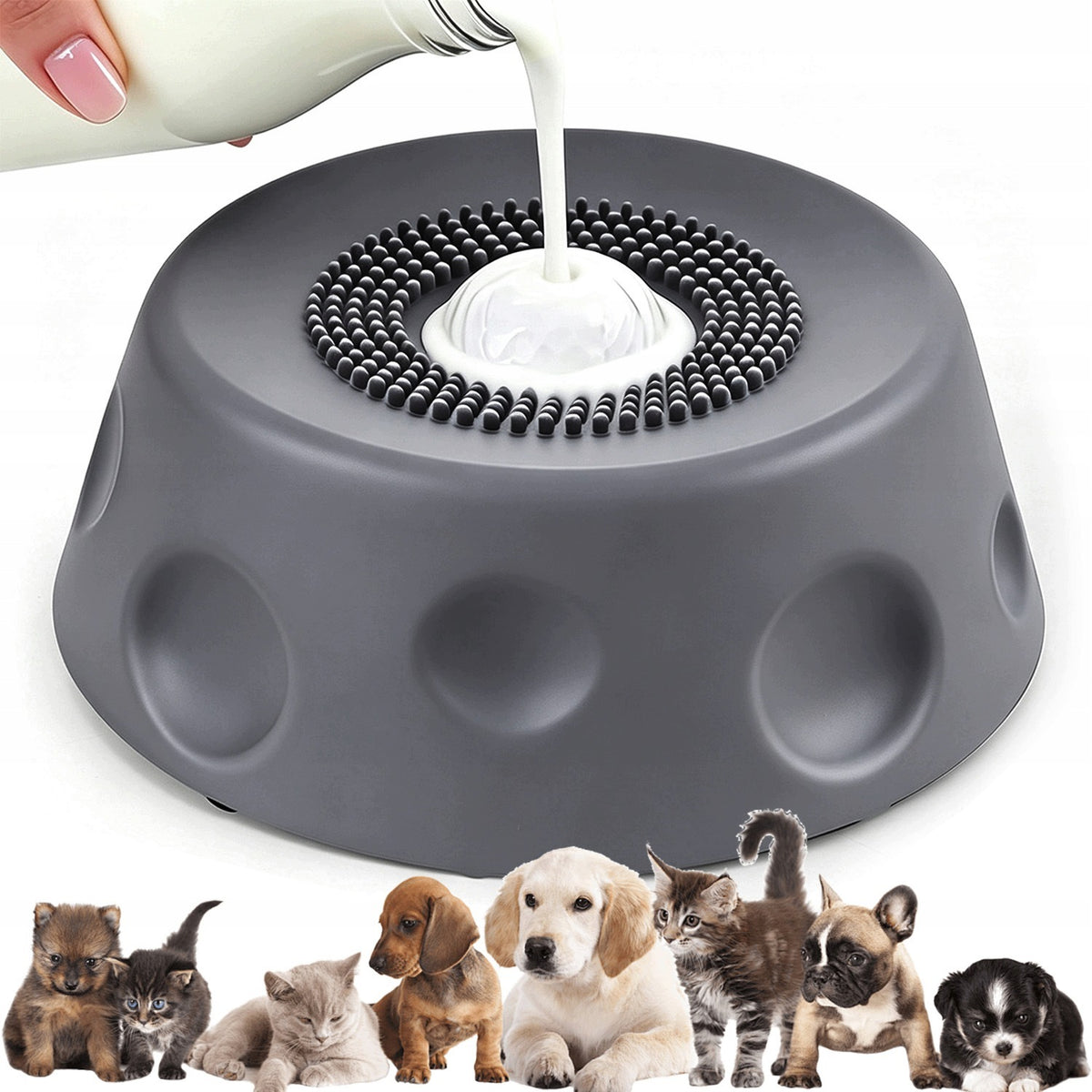 BOWL SLOWING DOWN FUN FEEDER NON-SLIP ANTI-SLIP DECENT FOR CAT DOG