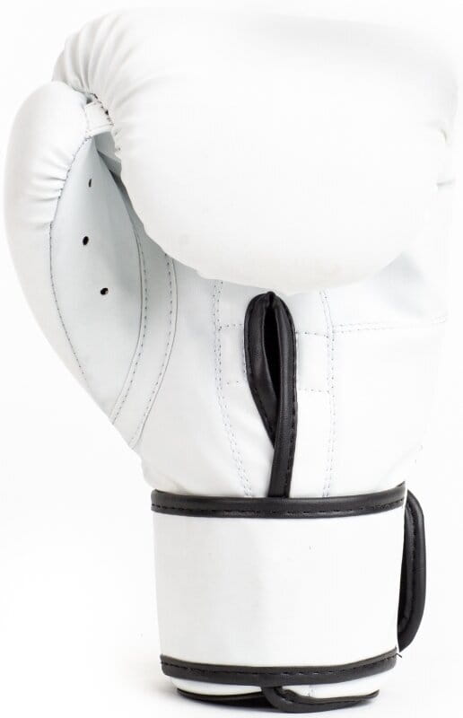BOXING GLOVES EVERLAST CORE 2 WHITE L/XL Brand Everlast