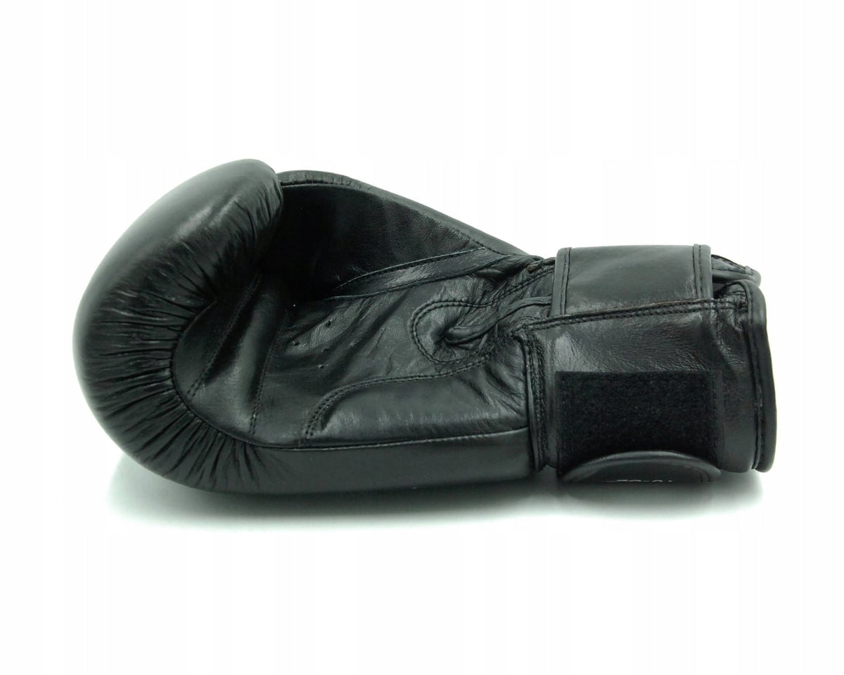 BOXING GLOVES EVOLUTION GENUINE LEATHER 14 OZ Brand Evolution
